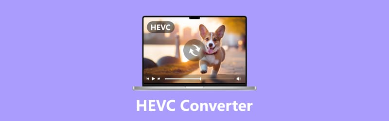 HEVC 轉換器