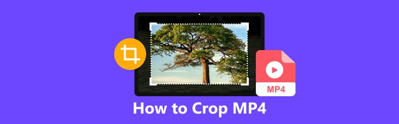 How to Crop MP4