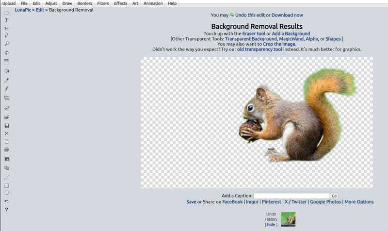Background Removal Result in Lunapic