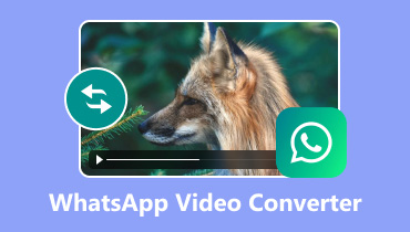Les 3 meilleurs convertisseurs vidéo WhatsApp pour WhatsApp en 2024