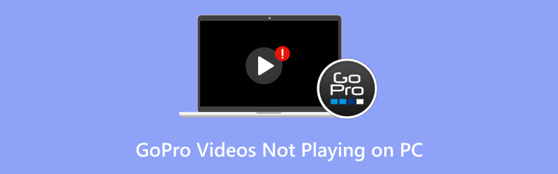 Gopro-Videos werden auf dem PC nicht abgespielt