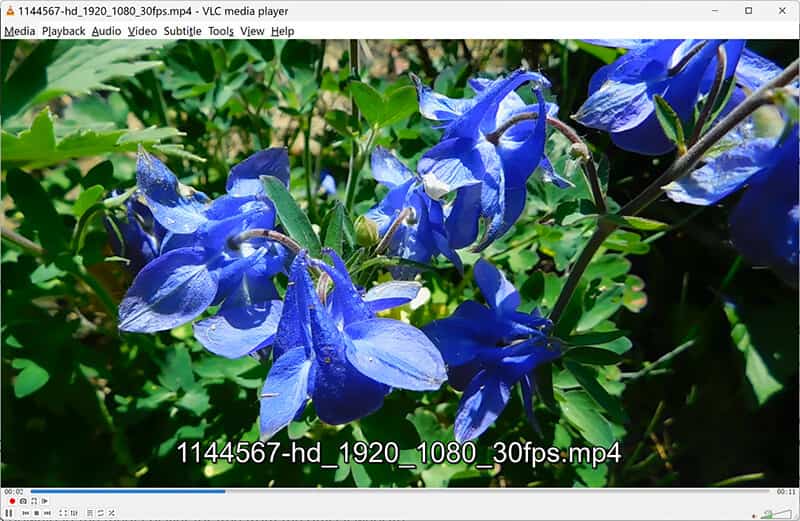 VLC Play WMP