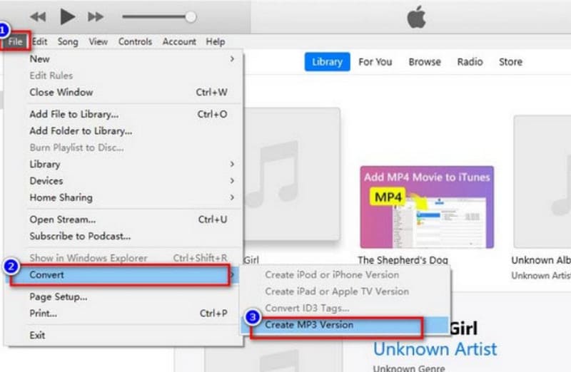 iTunes Convert