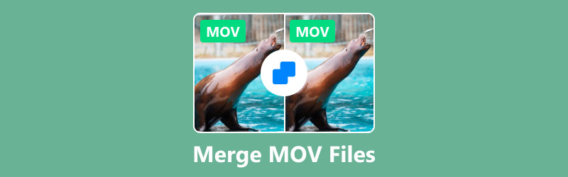 Slå sammen mov-filer
